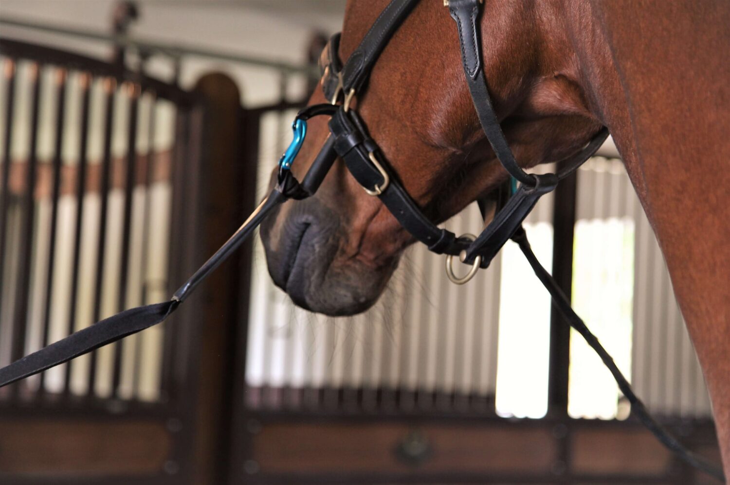 Ties for horse in stable show a innovative break away tie up system for horses.